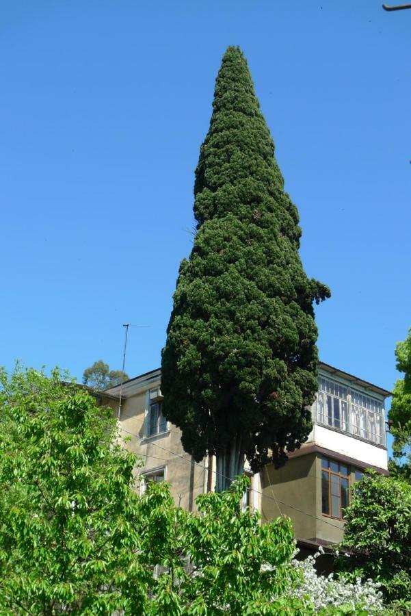 Old Town Guesthouse Σουχούμι Εξωτερικό φωτογραφία